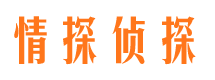 黄龙侦探公司